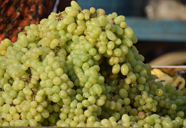 GRAPES SULTANA PUNNET 500G