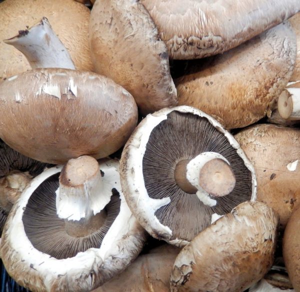 MUSHROOMS PORTABELLO 150G