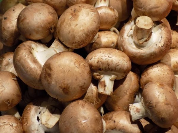 MUSHROOMS SWISS BROWN 150G