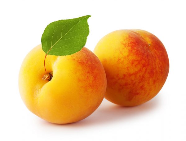 APRICOTS PREMIUM