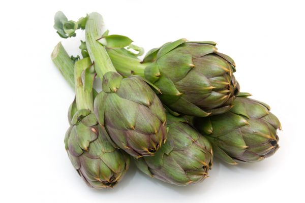 ARTICHOKES GLOBE