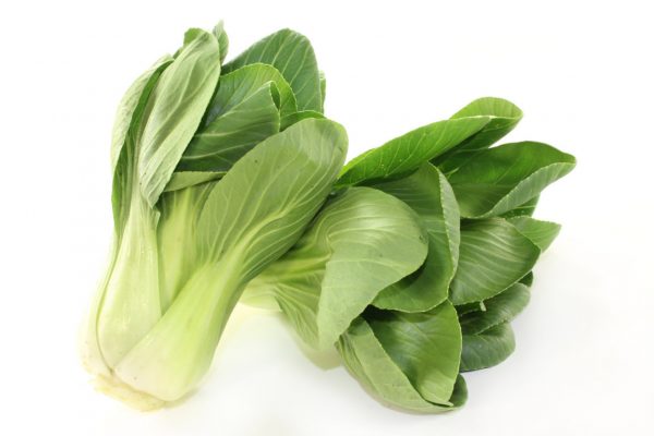 BOK CHOY BABY