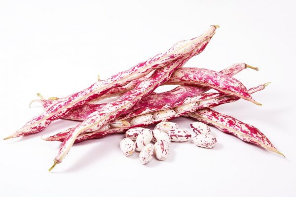 BEANS BORLOTTI FRESH 250G