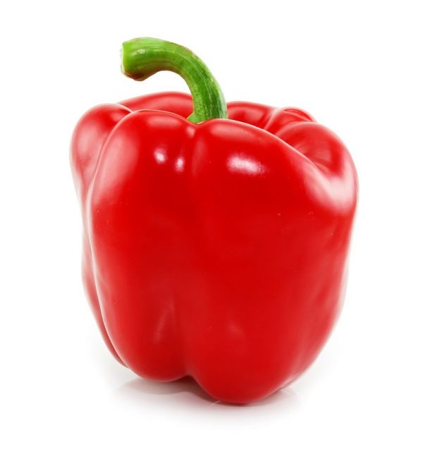 CAPSICUM RED