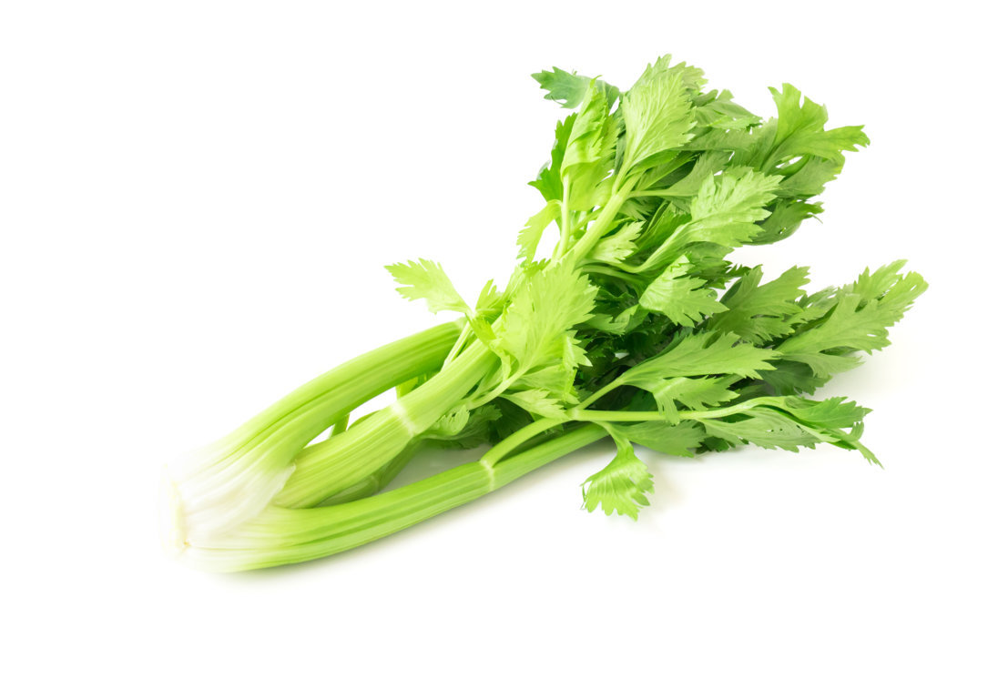 CELERY HALF - Three Brothers Fresh