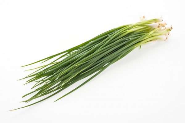 HERBS CHIVES BUNCH