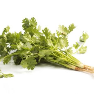 HERBS CORRIANDER BUNCH