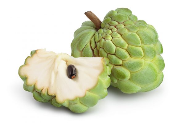 CUSTARD APPLE