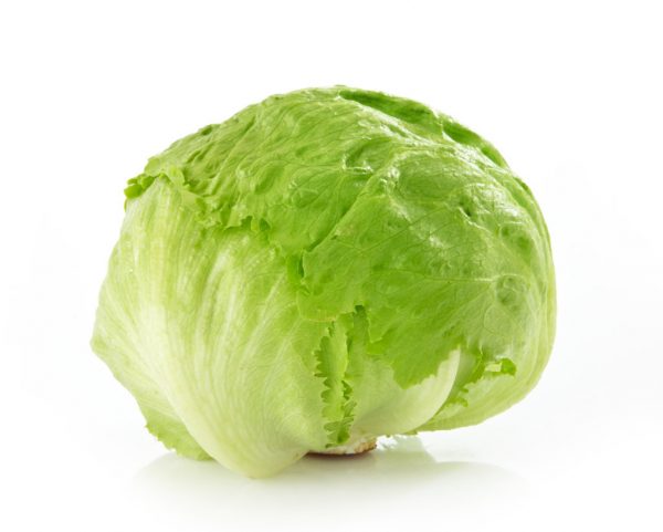 LETTUCE ICEBERG