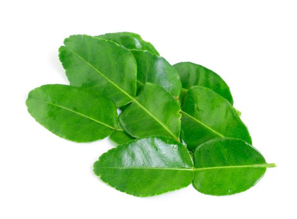 KAFFIR LIME LEAVES 10G