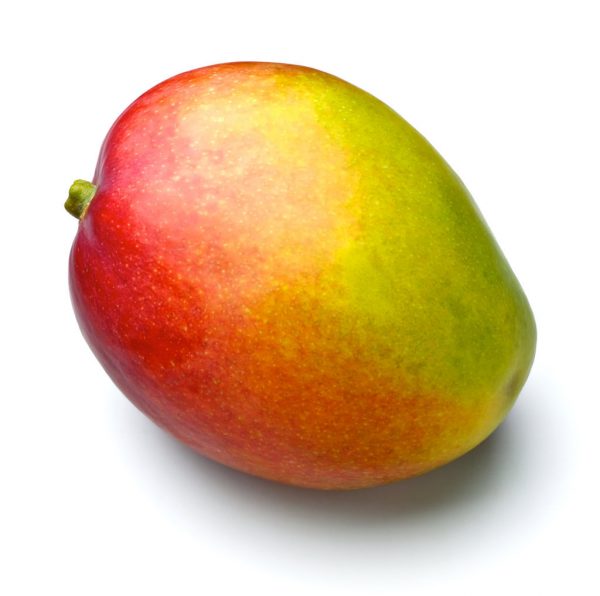 MANGO KETTS