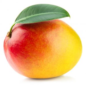 MANGO KENSINGTON PRIDE
