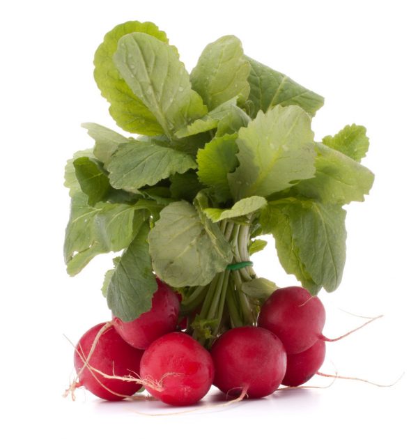 RADISH RED