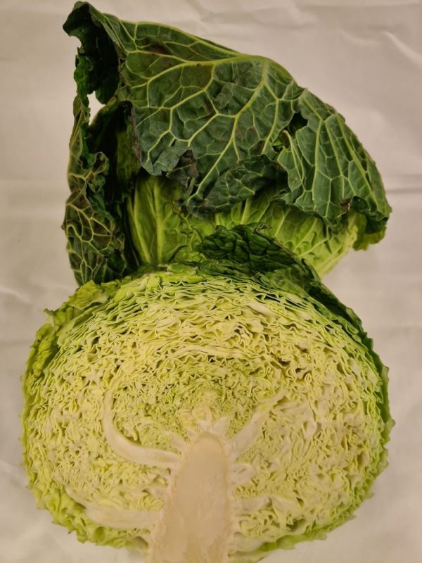 CABBAGE SAVOY HALF