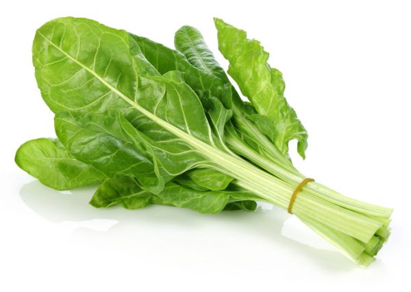 SPINACH SILVERBEET BUNCH