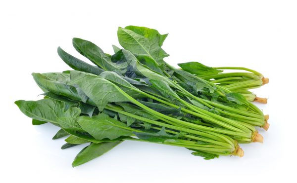 SPINACH ENGLISH BUNCH