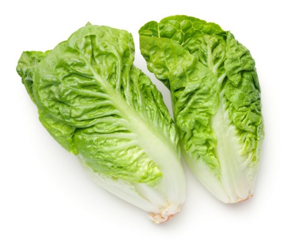 LETTUCE COS BABY TWIN PACK