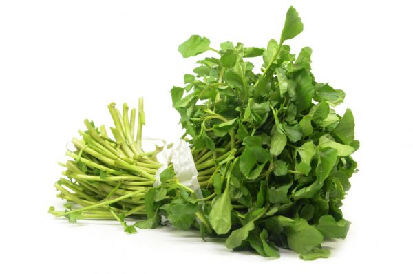 WATERCRESS