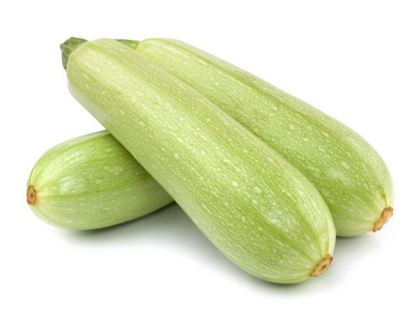 ZUCCHINI WHITE