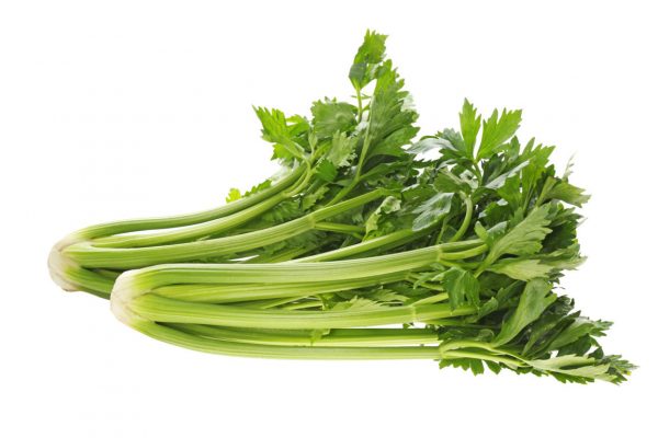 CELERY LARGE PREMIUM BOX OF 8